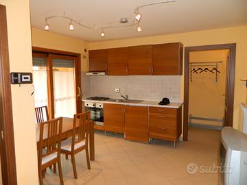 Bardonecchia appartamento (6) con box