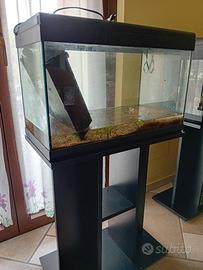 Acquario completo pronto all'uso