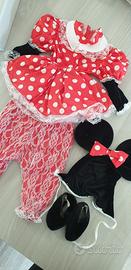 Vestito di sale minnie carnevale