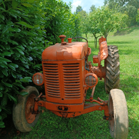 Trattore FIAT R25