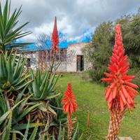 Casa uso deposito da ristrutturare con vigneto