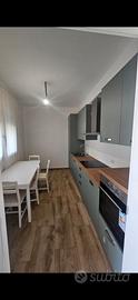 Appartamento Guizza-Bassanello 35125, Padova