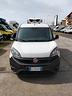 fiat-doblo-frigo