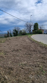 Terreno edificabile Levizzano di Baiso