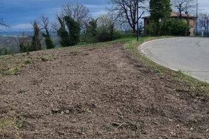 Terreno edificabile Levizzano di Baiso
