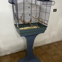 Gabbia per pappagalli 🦜