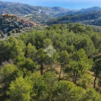 TER. RESIDENZIALE A CIPRESSA