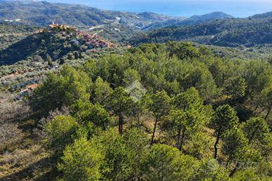 TER. RESIDENZIALE A CIPRESSA