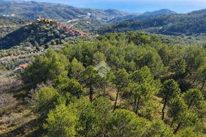 TER. RESIDENZIALE A CIPRESSA