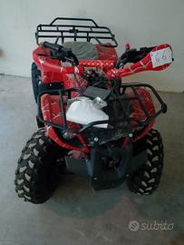 mini quad
