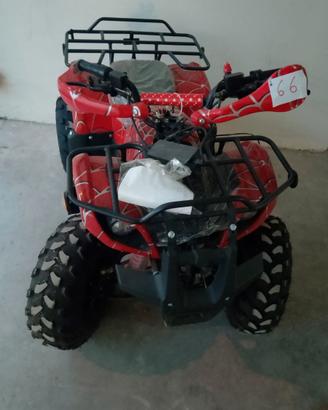 mini quad