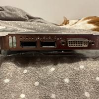 nvidia quadro 2000 1GB GDDR5