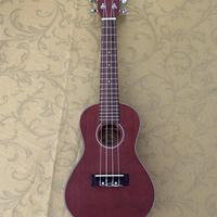 Ukulele - Eko - come nuovo