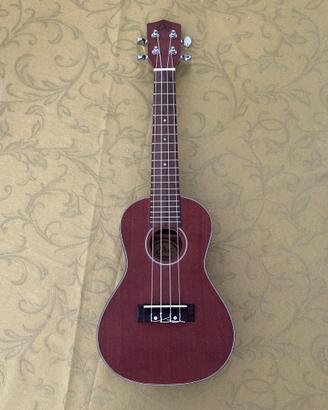 Ukulele - Eko - come nuovo