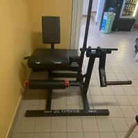 Leg extension carico libero