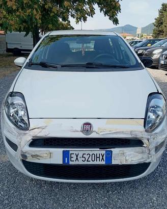 FIAT Punto 1.2 8V 5 porte Lounge