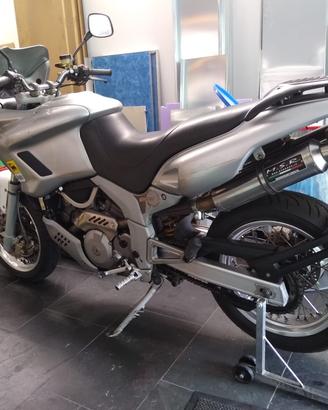 SCARICO MSR OMOLOGATO CAGIVA NAVIGATOR 1000 DOPPIO