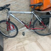Bicicletta MTB