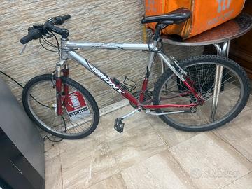 Bicicletta MTB