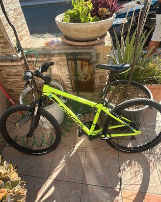 Bicicletta 