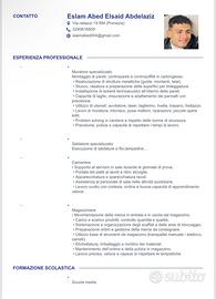 Cartongessista
