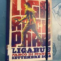 Dvd ricordo Ligabue