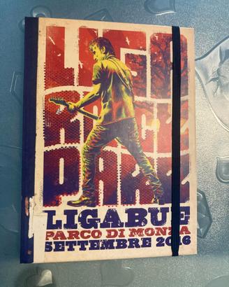 Dvd ricordo Ligabue