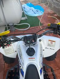 Lem quad 250