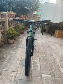 Bianchi kuma 29.2