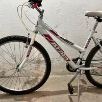 Bici Olmo 26” donna