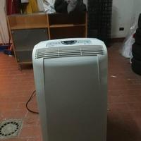 pinguino condizionatore