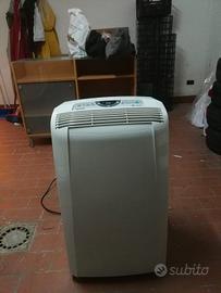 pinguino condizionatore