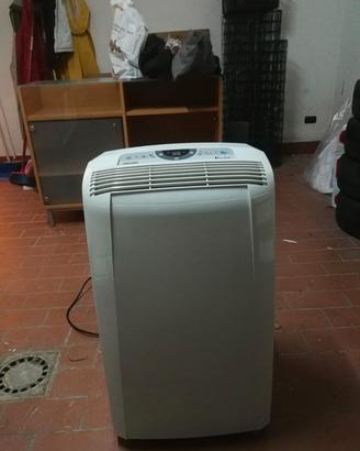 pinguino condizionatore