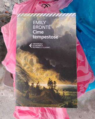 Libro: Cime Tempestose 