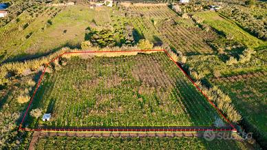 Terreno agricolo a Partinico, Cda Bosco Falconeria