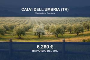 Immobile in asta di 50597 m² a Calvi dell'Umbria