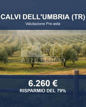 Immobile in asta di 50597 m² a Calvi dell'Umbria