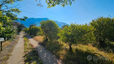 Terreno con rudere in zona San Michele Ter/59