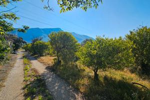 Terreno con rudere in zona San Michele Ter/59