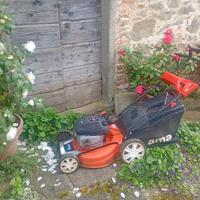 Taglia erba rasaerba