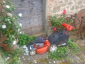 Taglia erba rasaerba