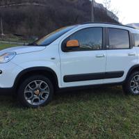 Panda 4x4 Antartica 1.3 mjt 75 cv