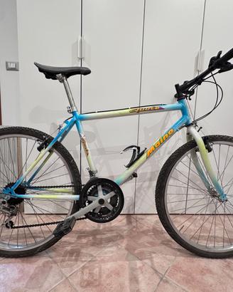 Mountain Bike / Bicicletta