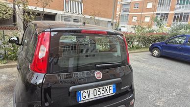 Fiat panda S&S