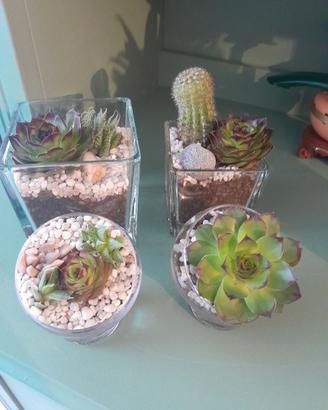 Terrari