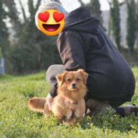 Trilly, 5 kg, 10 mesi di dolcezza