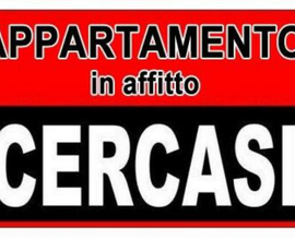 Cerco appartamento affitto