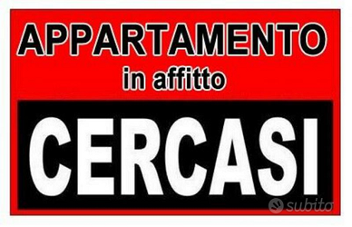 Cerco appartamento affitto