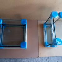 Acquario quadro e non