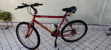 Mountain Bike Bottecchia 